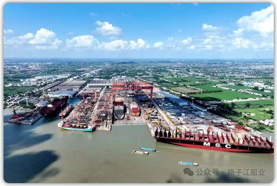 1744280376968587.jpg
